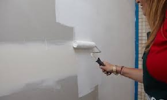 Expert Painter